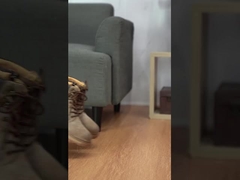 Giày thể thao nam, giày chống trượt và giày chống mòn